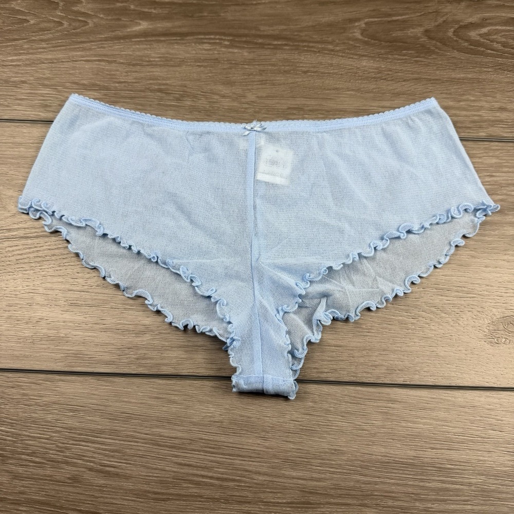 Express Women's Sheer Brief Panties Blue Large New